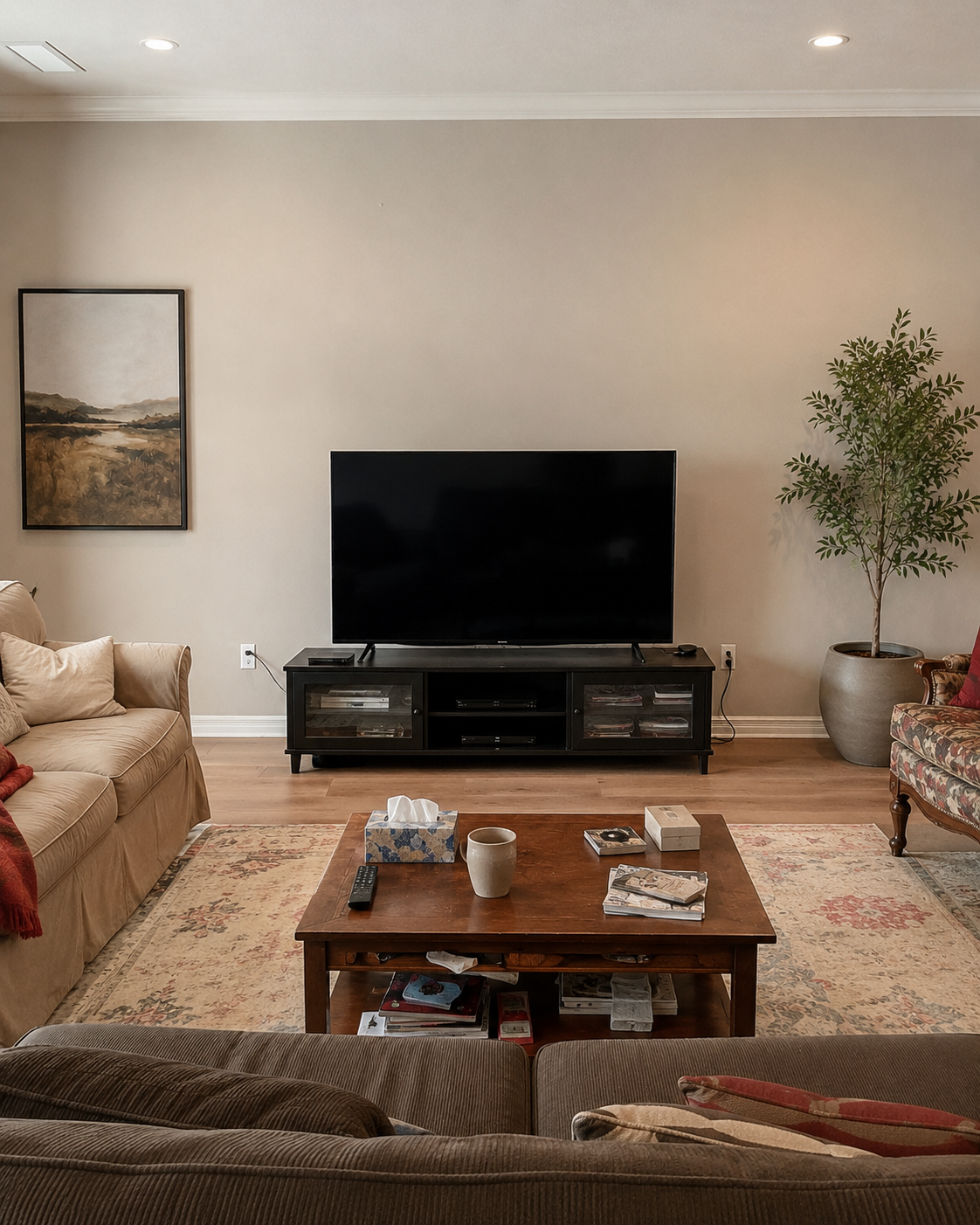 Before view of the Jacksonville living room with a TV on a freestanding media console against a plain wall before the Custom Fireplace TV Wall was built.